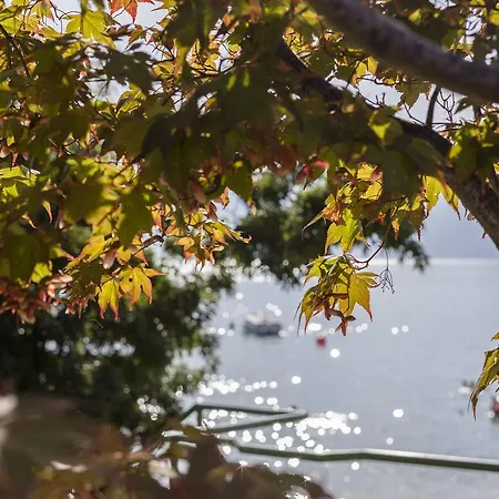 酒店 博洛尼亚卡勒塔酒店 布雷佐内加尔达